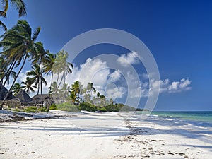 Zanzibar beach