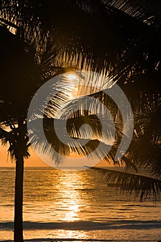 Zanzibar beach in the gold sunrise light photo