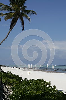 Zanzibar beach with sail boats