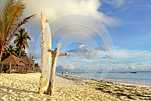 Zanzibar Exotic beach paradise seacoast