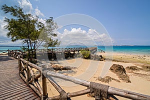 Zanzibar Prison island beach photo