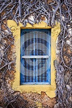 Zanzibar prison island and a old window closed