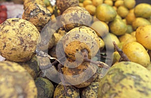 ZANZIBAR STONE TOWN MARKET