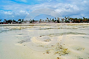 Zanzibar view-beach,ocean and sky