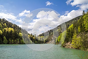 Zaovine lake in Serbia, during a sunny afternoon with a blue water and a green forest made of pine trees.