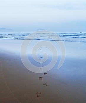 Zarautz beach. Footsteps on the beach of Zarautz with the mouse of Getaria in the background, Euskadi