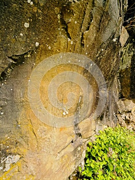 Zarza and Zarcita, La palma