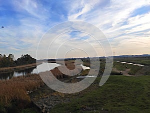 Zasavica Nature Reserve Serbia river canal with reed