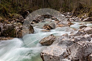 In the Zauberwald, enchanted forest, near Ramsau