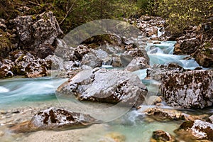 In the Zauberwald, enchanted forest, near Ramsau