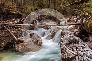 In the Zauberwald, enchanted forest, near Ramsau