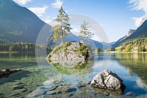 Zauberwald at Lake Hintersee near Ramsau at Berchtesgadener Land