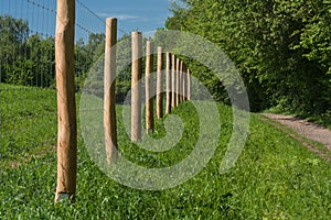 Zaun von einer Weide Fence of a pasture photo