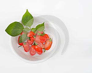 Zavory Mild Habanero peppers in White Bowl