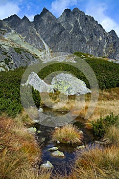 Zbojnicka chata, High Tatras: turf of grass in a small lake by the hiking trail in Velka Studena dolina