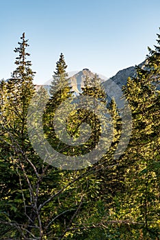 Zdiarska vidla mountain peak in Bwlianske Tatry from Javorova dolina valley in Slovakia