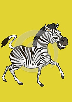 Zebra