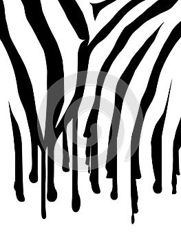 Zebra Abstract Background