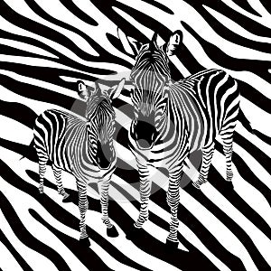 Zebra on abstract background, seamless pattern.