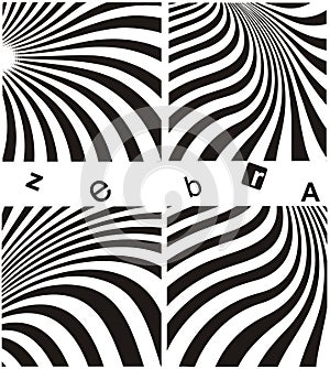 Zebra background