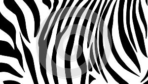 Zebra black and white pattern