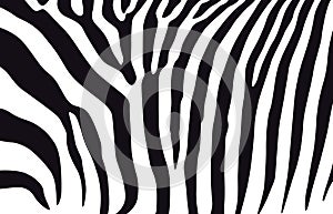 Zebra black-white pattern.