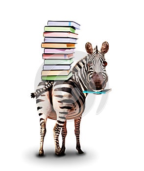 Zebra with books on the back and textbook concept