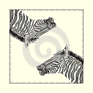 Zebra card