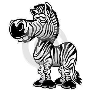 Zebra Cartoon Drawing Isolated Vector Illustration