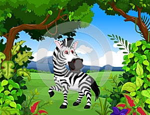 Zebra cartoon in the jungle