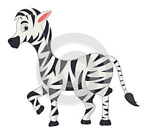 Zebra Cartoon