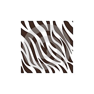 Zebra or cat pattern vector illustration design