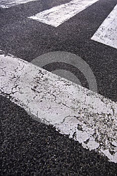 Zebra crossing on the asphalt