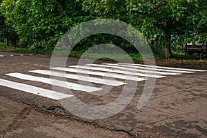 Zebra crossing in the city