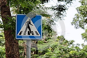 Zebra crossing, pedestrian cross warning traffic on blue background in the park