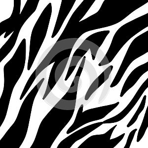 zebra design