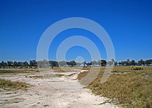 ZEBRA IN THE DISTANCE ON GRASSLAND IN THE SAVUTI, BOTSWANA