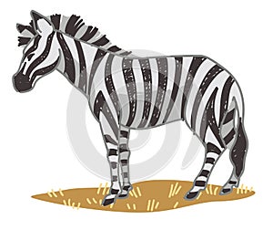 Zebra equine animal with stripes on skin vector