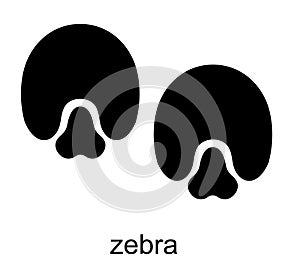 Zebra Footprint. Zebra track. Ungulate animal footprints. Mammal animal. Black Silhouette Design. Vector illustration