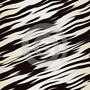 Zebra fur