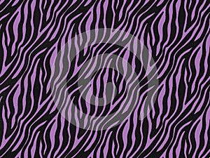 Zebra fur skin seamless pattern, carpet zebra hairy backgroun purple and violet texture, smooth, fluffly and soft.