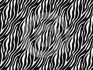 Zebra fur skin seamless pattern, carpet zebra hairy background, black and white texture, smooth, fluffly and soft.