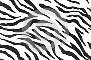 Zebra fur texture full frame. Black and white animal fur pattern