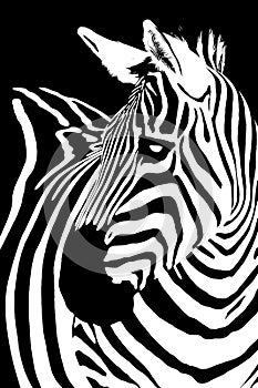 Zebra Fusion