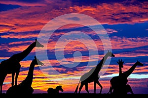 Zebra and giraffes resting in the sunset