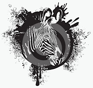 zebra head in a circle with spots and splashes