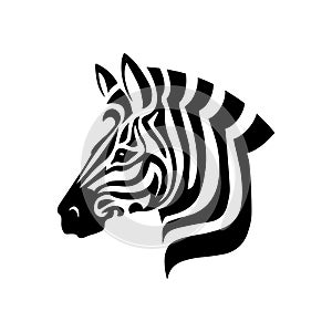 Zebra Head on white background