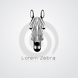 Zebra head on white background