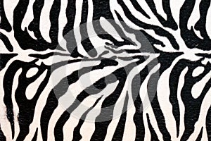 Zebra hide