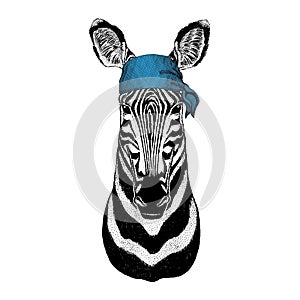 Zebra Horse Wild animal wearing bandana or kerchief or bandanna Image for Pirate Seaman Sailor Biker Motorcycle